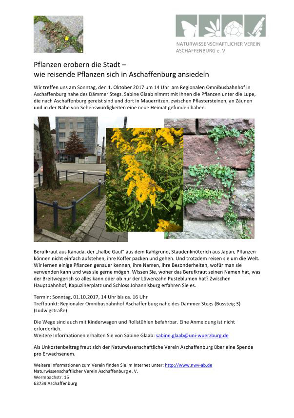Pflanzen Aschaffenburg